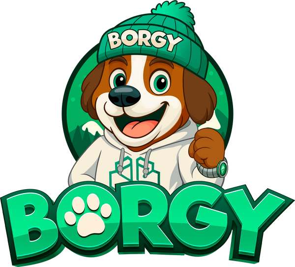 Borgy Store